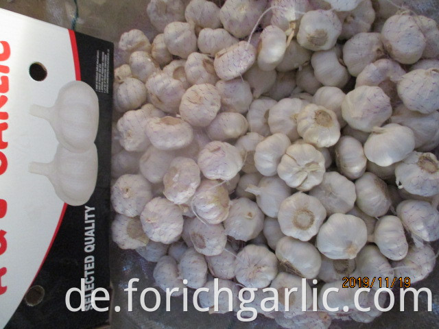 Best Quality Fresh Pure White Garlic